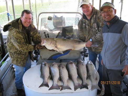 Nice Striped Bass